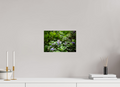 12 x 8″, Photo Print On Fuji Crystal DP II Little things